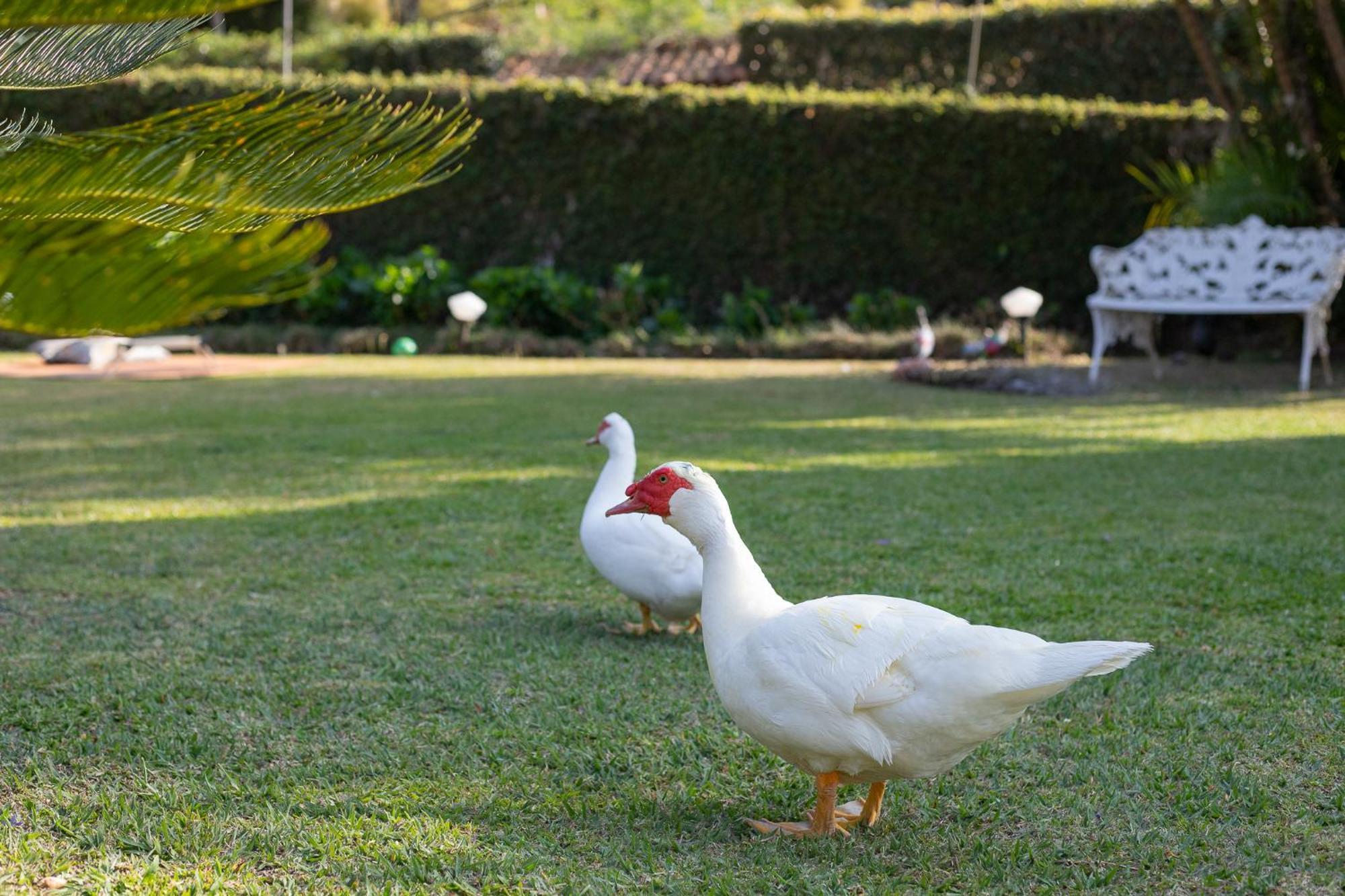 Recanto Dos Vianas Teresopolis Luaran gambar